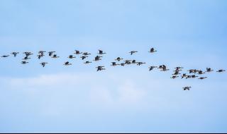 404分能报什么大学 上海404是什么意思