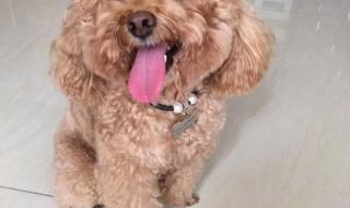 大亚湾万达广场什么时候开业的 惠州大亚湾万达广场