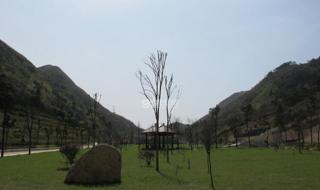 温州乐园门票多少进去玩还收费不 温州乐园营业时间